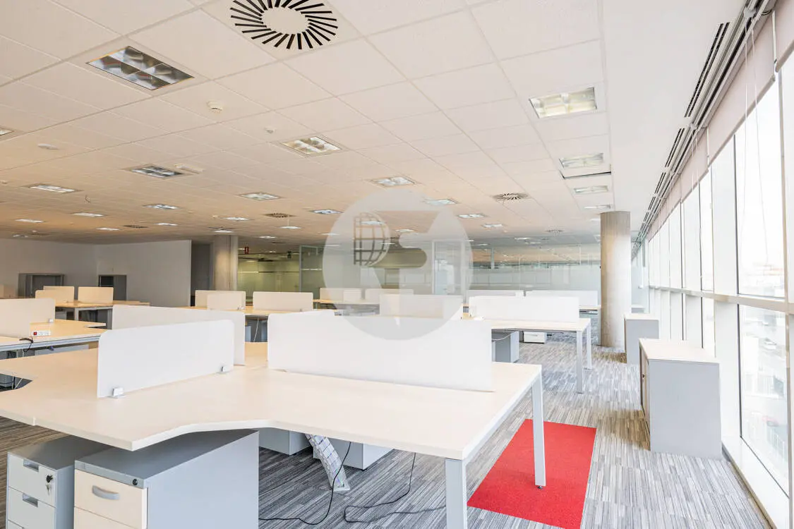 Office for rent in Madrid. Albasanz Street. 7