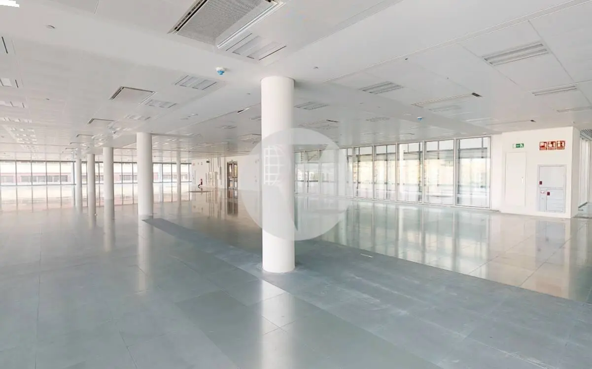 Alquiler Oficina Madrid – Calle Julián Camarillo – Madbit - imagen 6