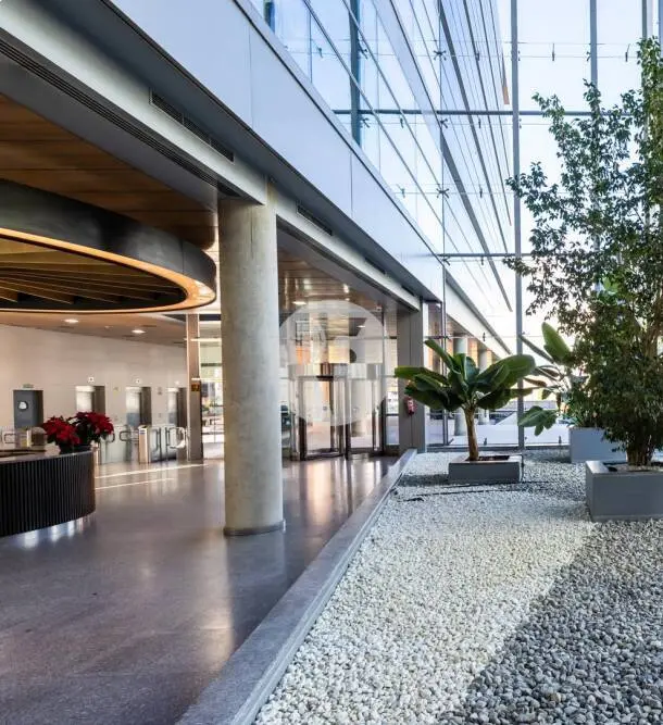 Oficina alquiler Madrid – Calle Torrelaguna. - imagen 3