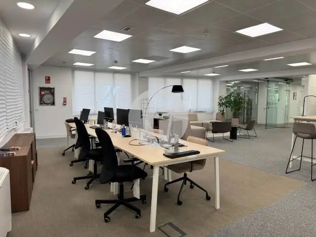 Alquiler oficina en Madrid. Paseo de Recoletos - imagen 6