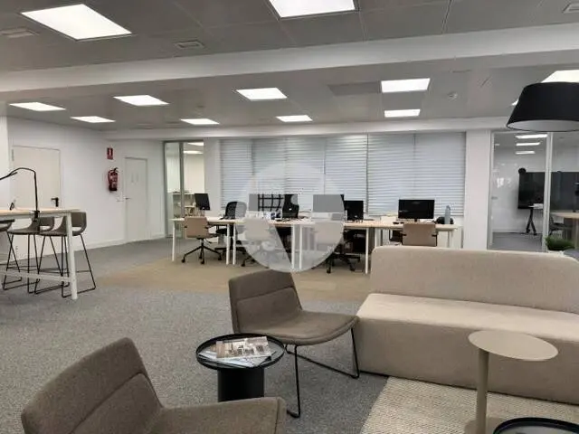 Alquiler oficina en Madrid. Paseo de Recoletos - imagen 4
