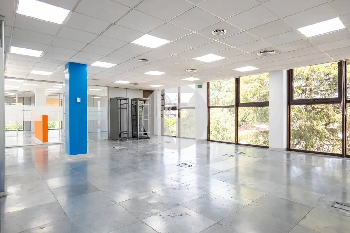 Oficina alquiler Madrid. Calle López Santos. Parque Empresarial Las Rozas. - imagen 2