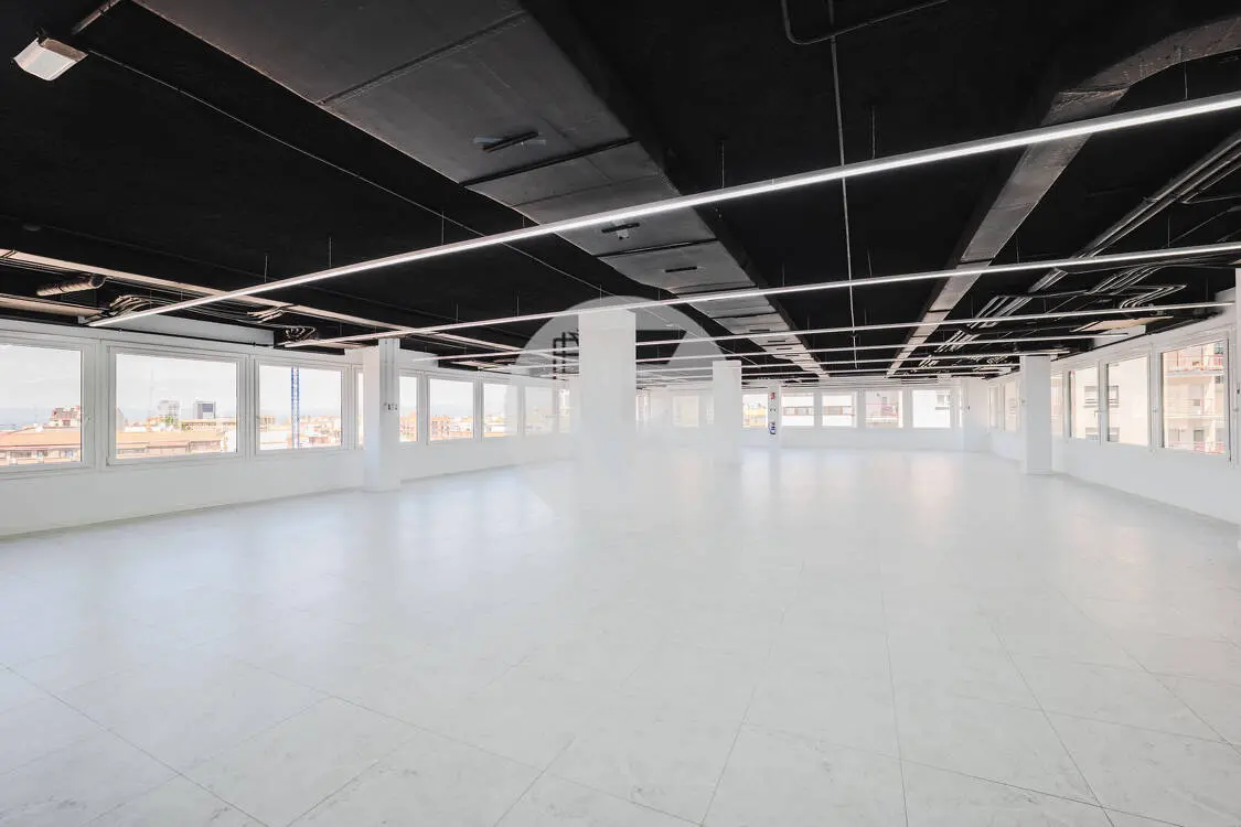 Oficina alquiler Madrid. Calle Orense. Madrid - imagen 5