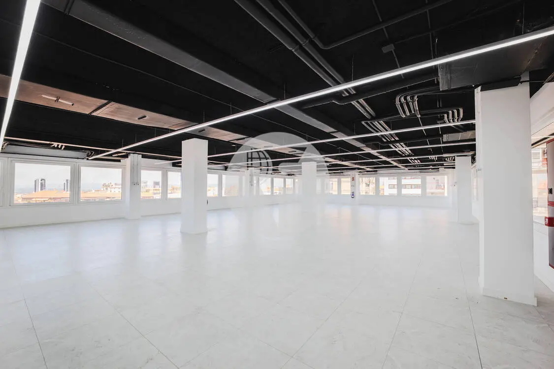 Oficina alquiler Madrid. Calle Orense. Madrid - imagen 6