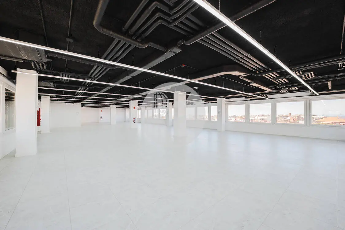 Oficina alquiler Madrid. Calle Orense. Madrid - imagen 7