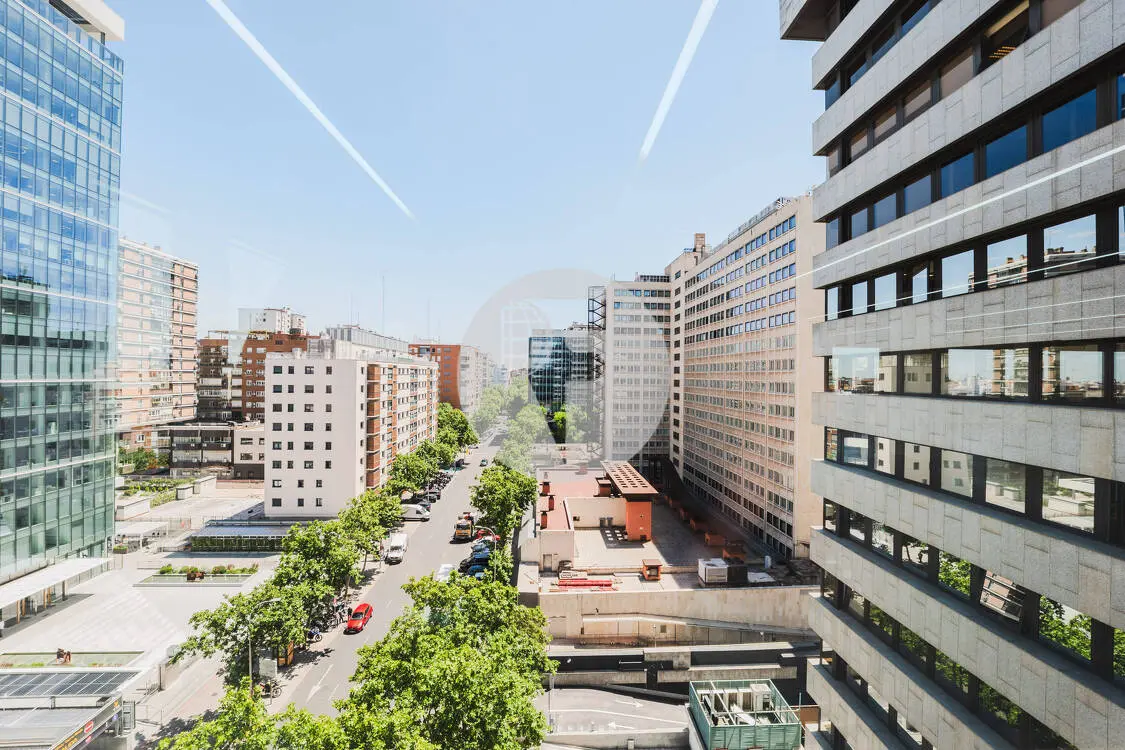 Oficina alquiler Madrid. Calle Orense. Madrid - imagen 11