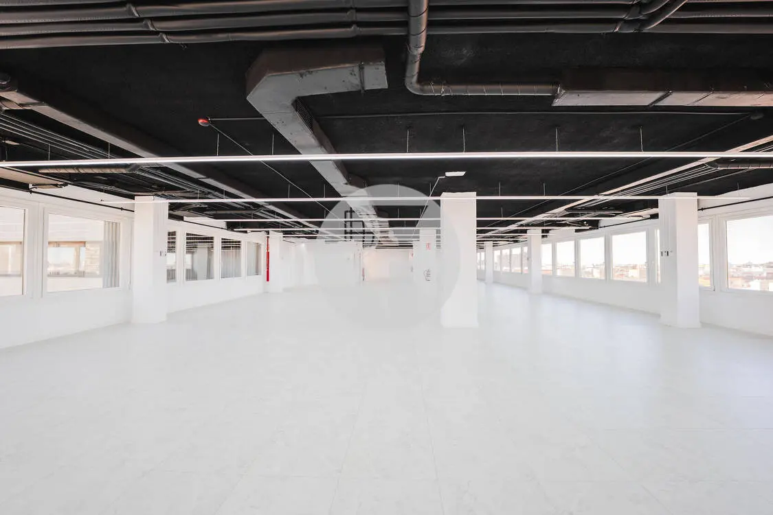 Oficina alquiler Madrid. Calle Orense. Madrid - imagen 12