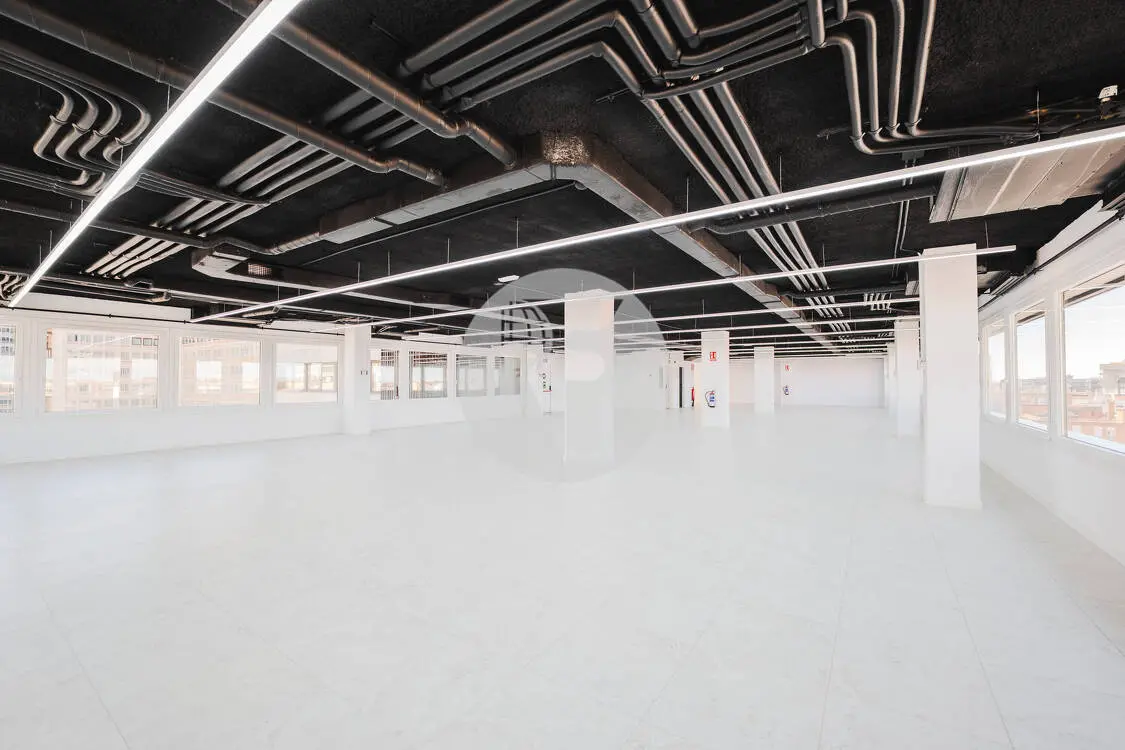 Oficina alquiler Madrid. Calle Orense. Madrid - imagen 13