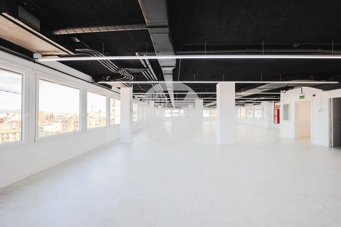 Oficina alquiler Madrid. Calle Orense. Madrid - imagen 14
