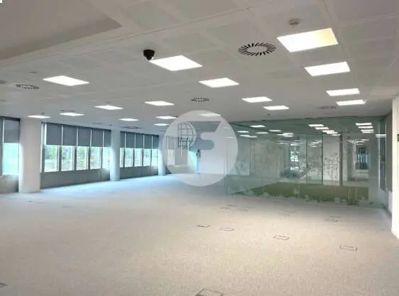 Alquiler Oficina en Calle Ribera del Loira – Campo de las Naciones - imagen 8