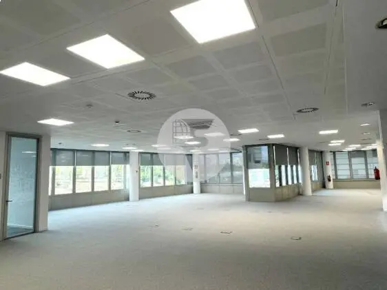 Alquiler Oficina en Calle Ribera del Loira – Campo de las Naciones - imagen 7
