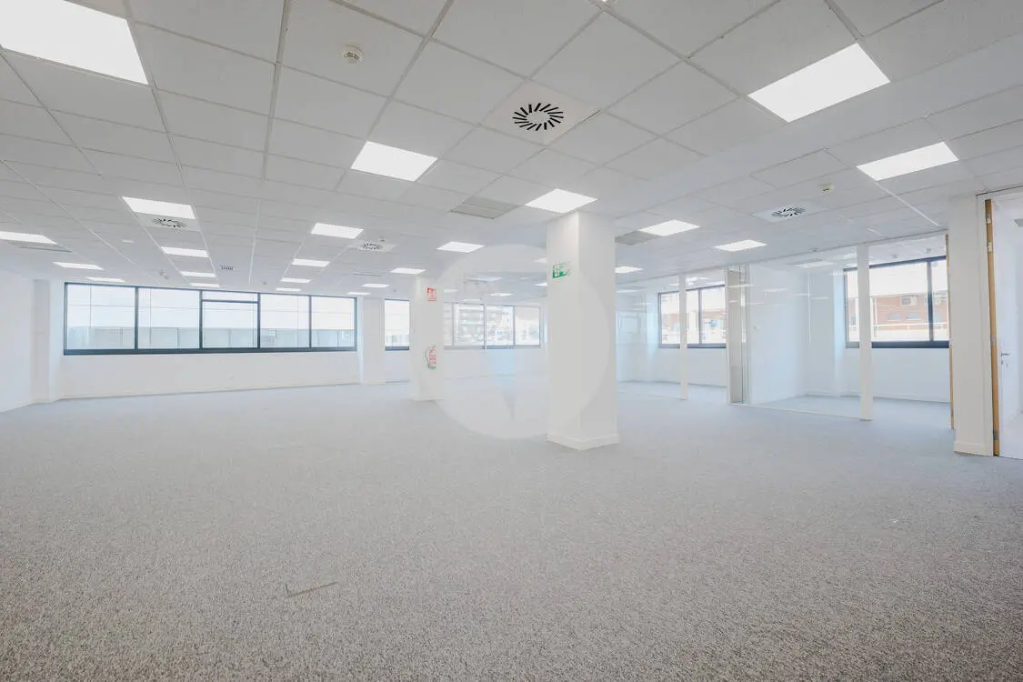Oficina alquiler Madrid. Av. de Manoteras. - imagen 10