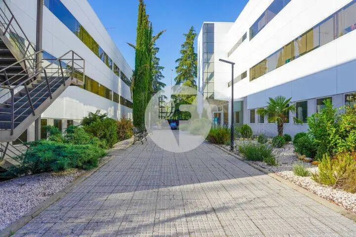 Oficina alquiler Madrid. Parque Empresarial El Plantío. Moncloa Aravaca. - imagen 8