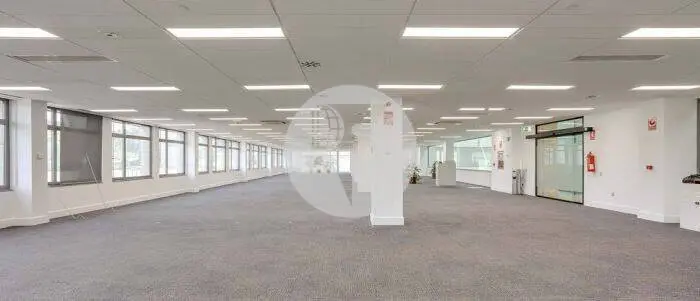 Oficina alquiler Madrid. Calle José Echegaray – Las Rozas - imagen 5
