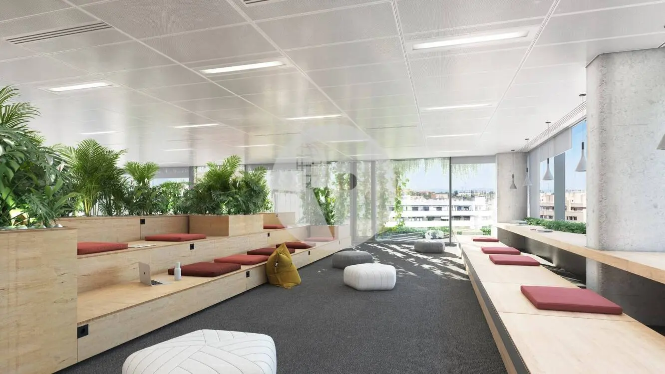 Oficina alquiler Madrid. Calle Quintadueñas – Arqbórea – Las Tablas. - imagen 3