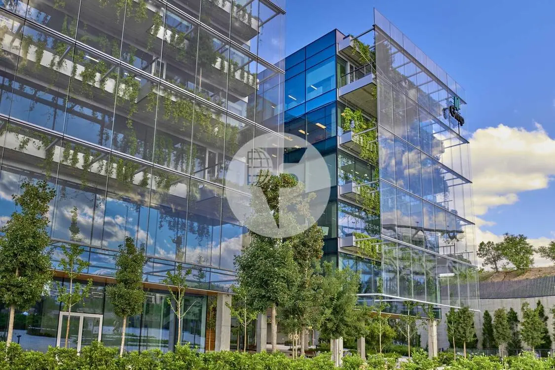 Oficina alquiler Madrid. Calle Quintadueñas – Arqbórea – Las Tablas. - imagen 9