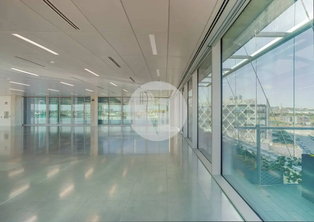 Oficina alquiler Madrid. Calle Quintadueñas – Arqbórea – Las Tablas. - imagen 5