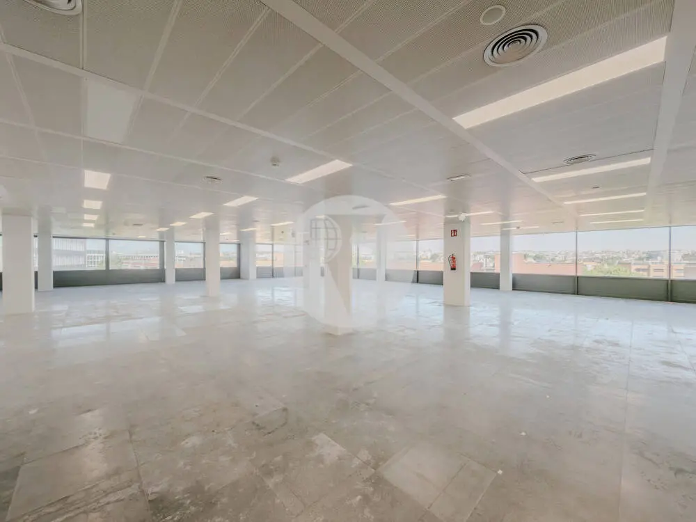 Oficina impecable en alquiler situada en la calle Anabel Segura, Arroyo de la Vega – Alcobendas - imagen 6