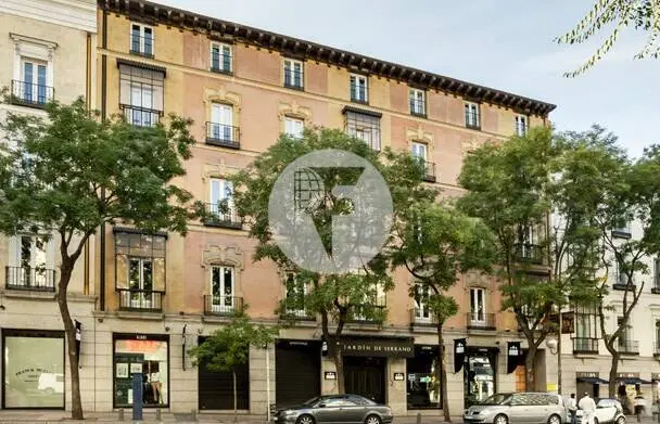 Oficina en alquiler en la calle Goya. Barrio Salamanca. Madrid