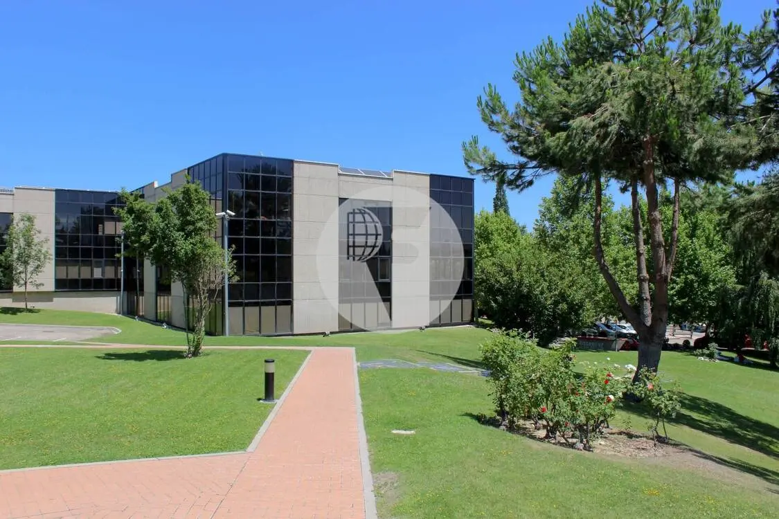 Oficina alquiler Alcobendas – Calle Caléndula P.E Miniparc III – Alcobendas - imagen 12