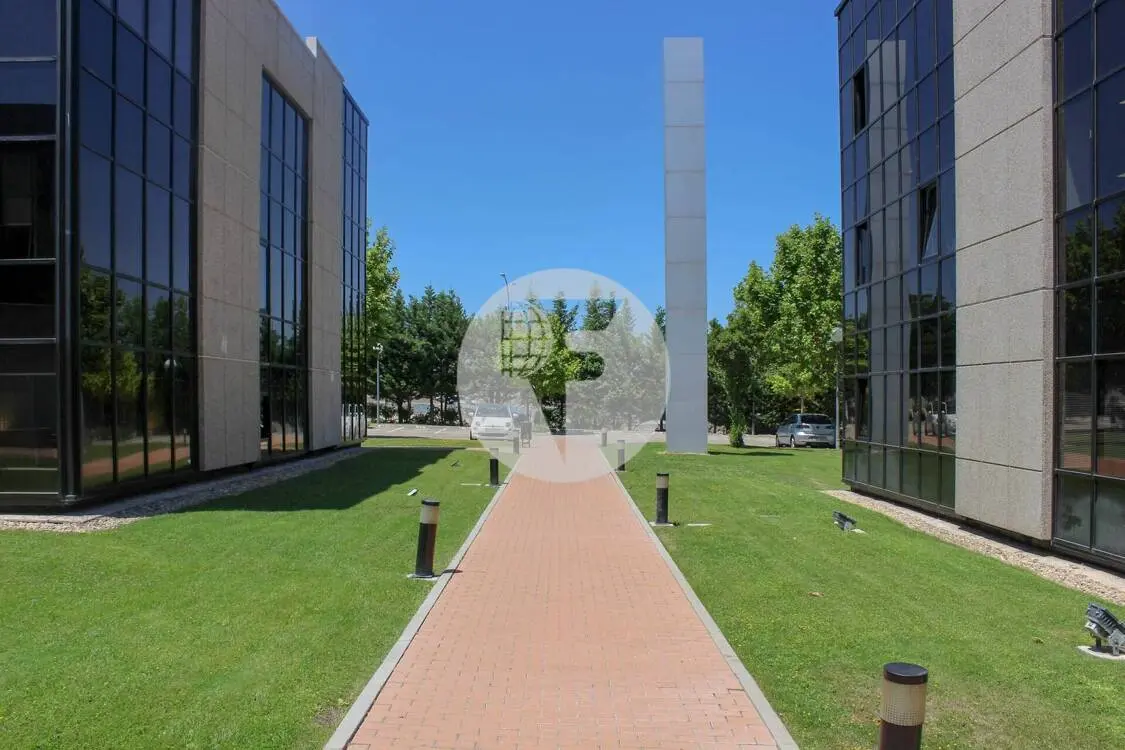 Oficina alquiler Alcobendas – Calle Caléndula P.E Miniparc III – Alcobendas - imagen 15