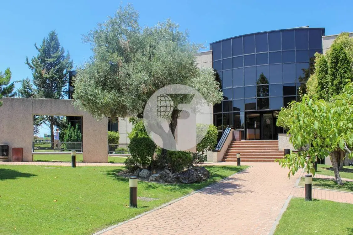 Oficina alquiler Alcobendas – Calle Caléndula P.E Miniparc III – Alcobendas - imagen 17
