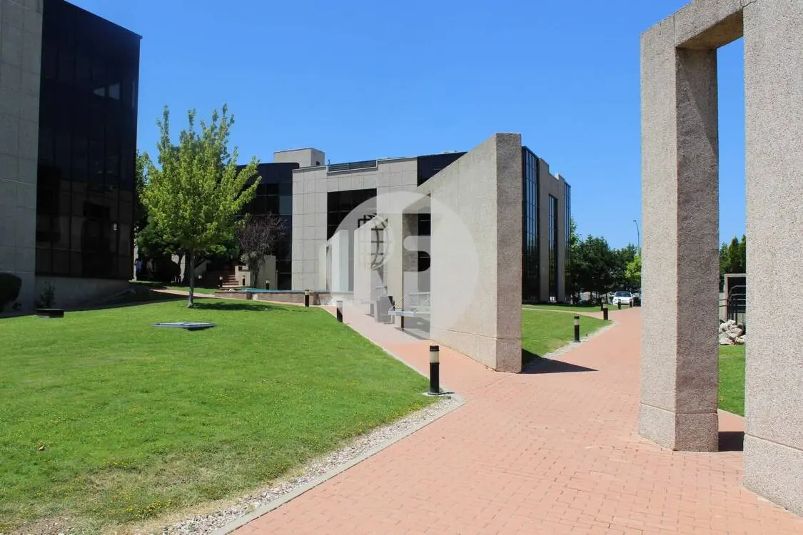 Oficina alquiler Alcobendas – Calle Caléndula P.E Miniparc III – Alcobendas - imagen 13