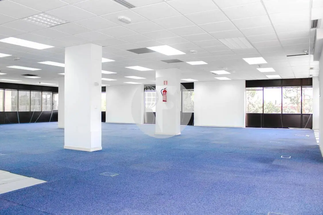 Oficina alquiler Alcobendas – Calle Caléndula P.E Miniparc III – Alcobendas