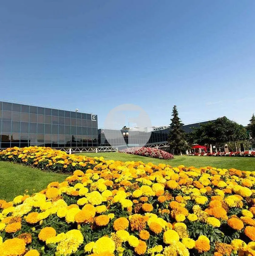 Oficina alquiler Madrid. Av Castilla. San Fernando de Henares - imagen 10