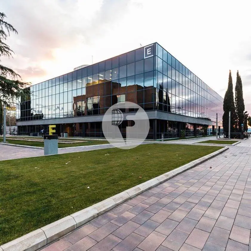 Oficina en alquiler Av Castilla. San Fernando de Henares, Madrid - imagen 5