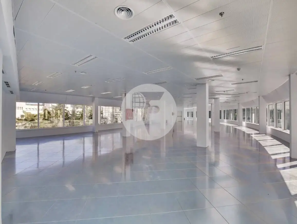 Alquilar Oficina Madrid - imagen 3