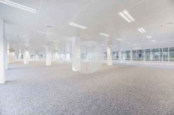 Alquilar Oficina Madrid - imagen 4
