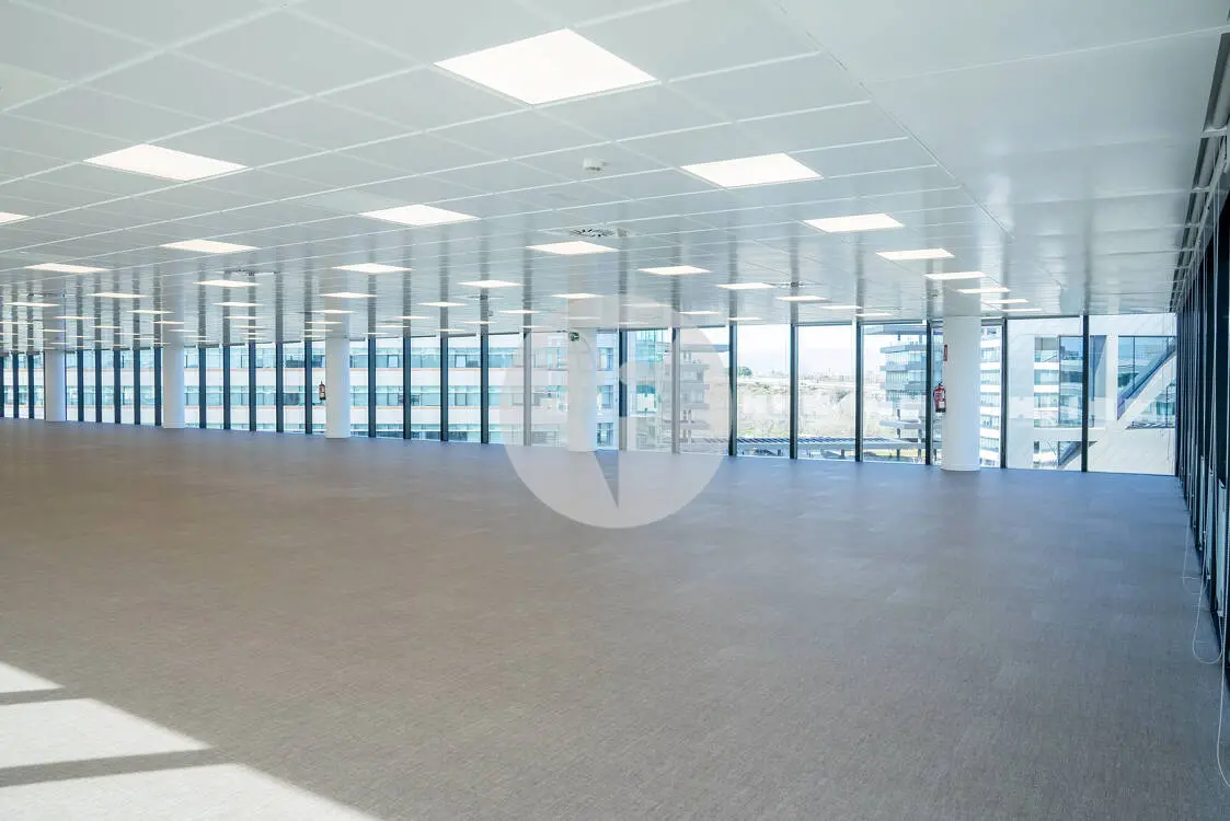 Oficina alquiler Madrid. P.E Cristalia. - imagen 5