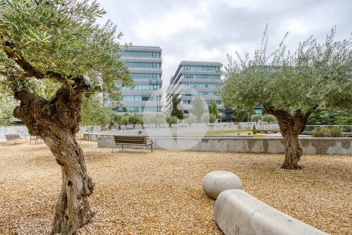 Oficina alquiler Madrid. P.E Cristalia. - imagen 13