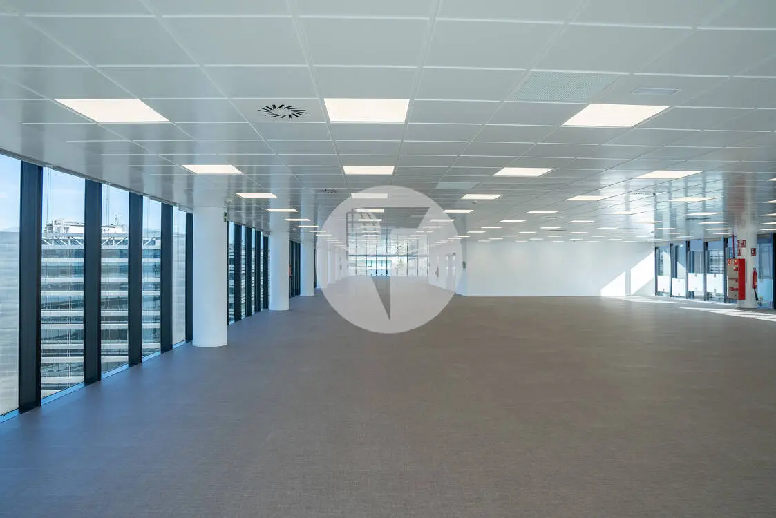 Oficina alquiler Madrid. P.E Cristalia. - imagen 4