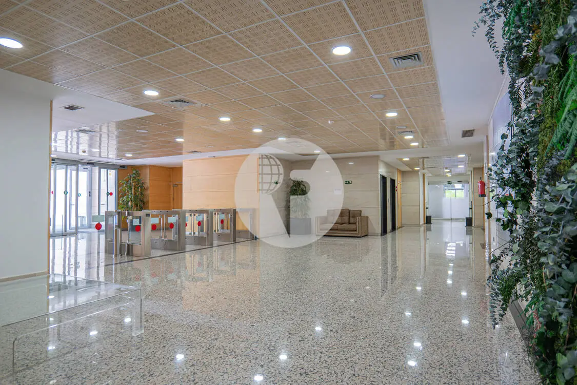 Oficina diàfana en lloguer a la millor zona d'oficines de San Sebastián de los Reyes. Madrid. 4
