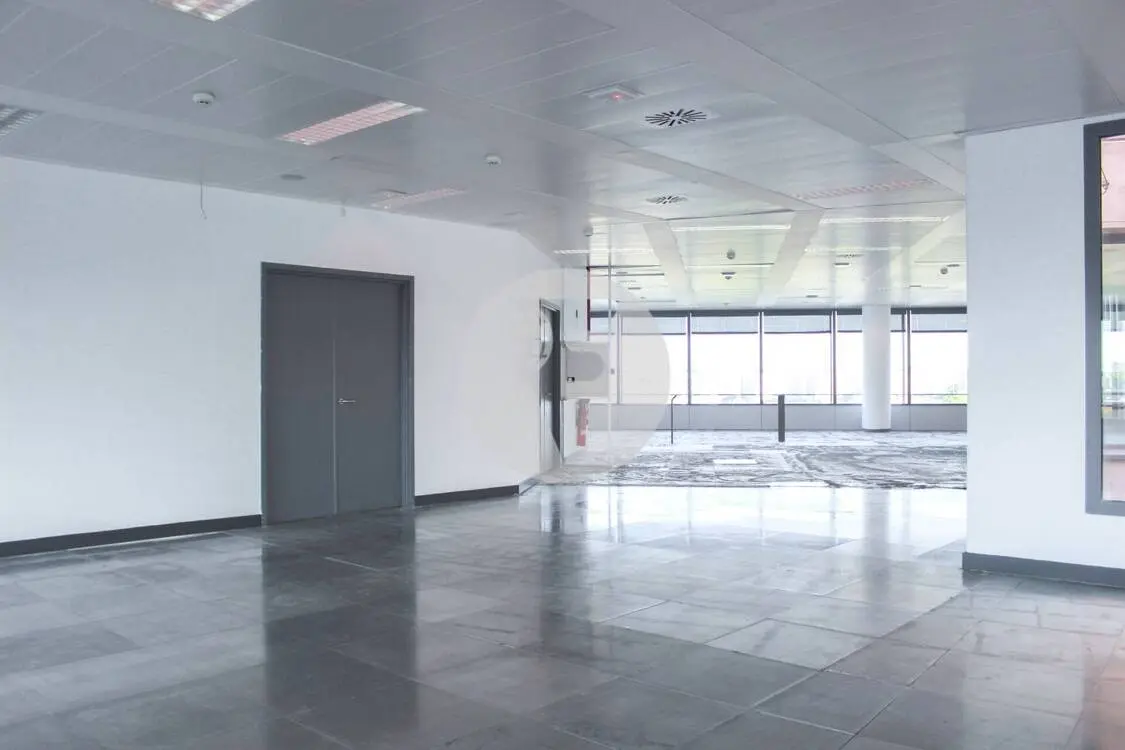 Office for rent. Madrid 5