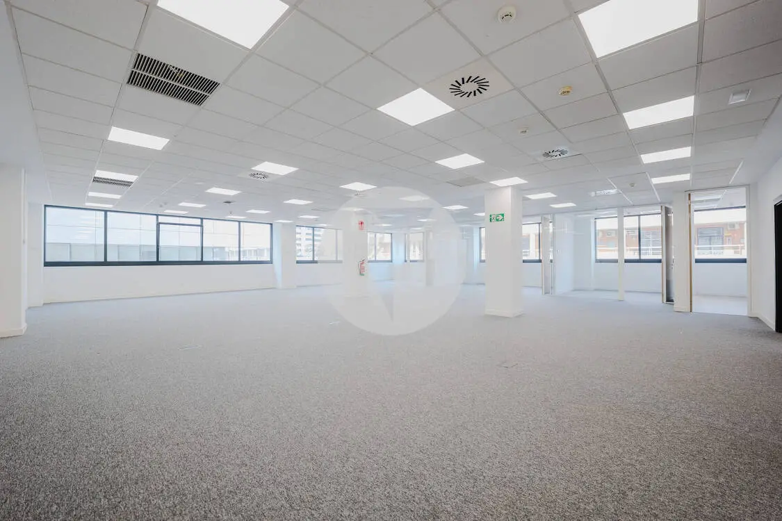 Oficina alquiler Madrid. Av. de Manoteras. - imagen 4