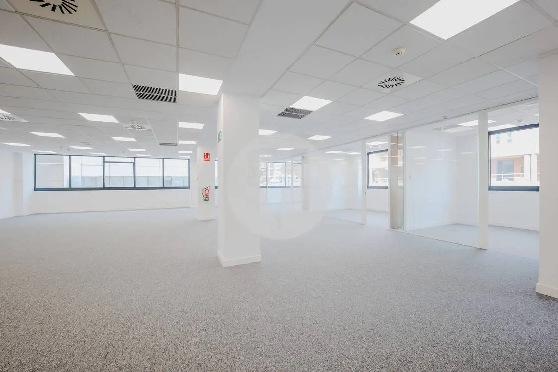 Oficina alquiler Madrid. Av. de Manoteras. - imagen 12