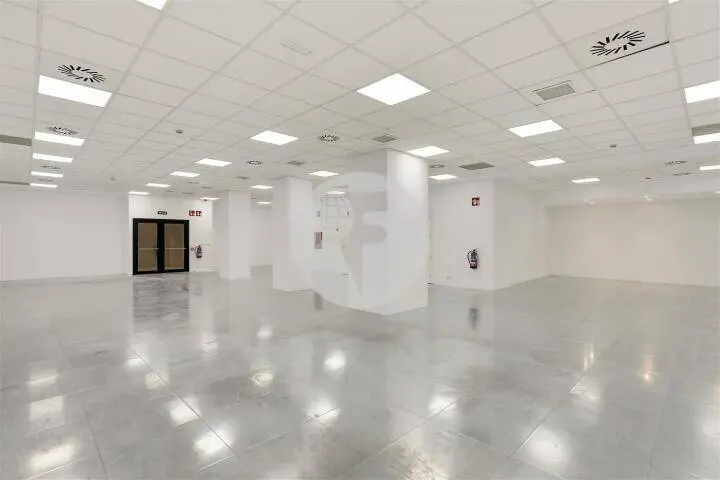 Office for rent on Paseo de la Castellana - Madrid. 5
