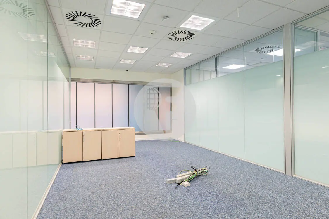 Office for rent in Madrid. Albasanz Street. 4