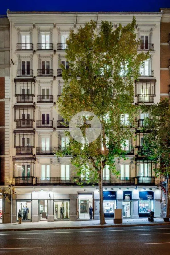 Oficina alquiler Madrid. Calle Serrano, Barrio Salamanca - imagen 8