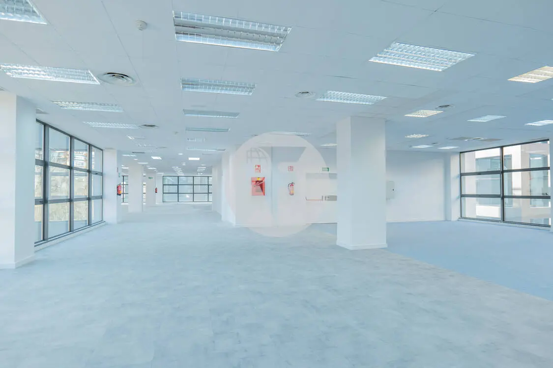 Oficina alquiler Madrid. Av de Manoteras - imagen 5