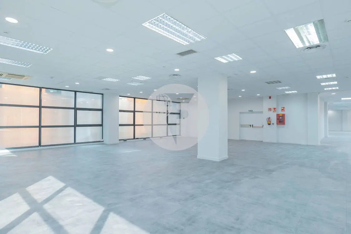 Oficina alquiler Madrid. Av de Manoteras - imagen 12