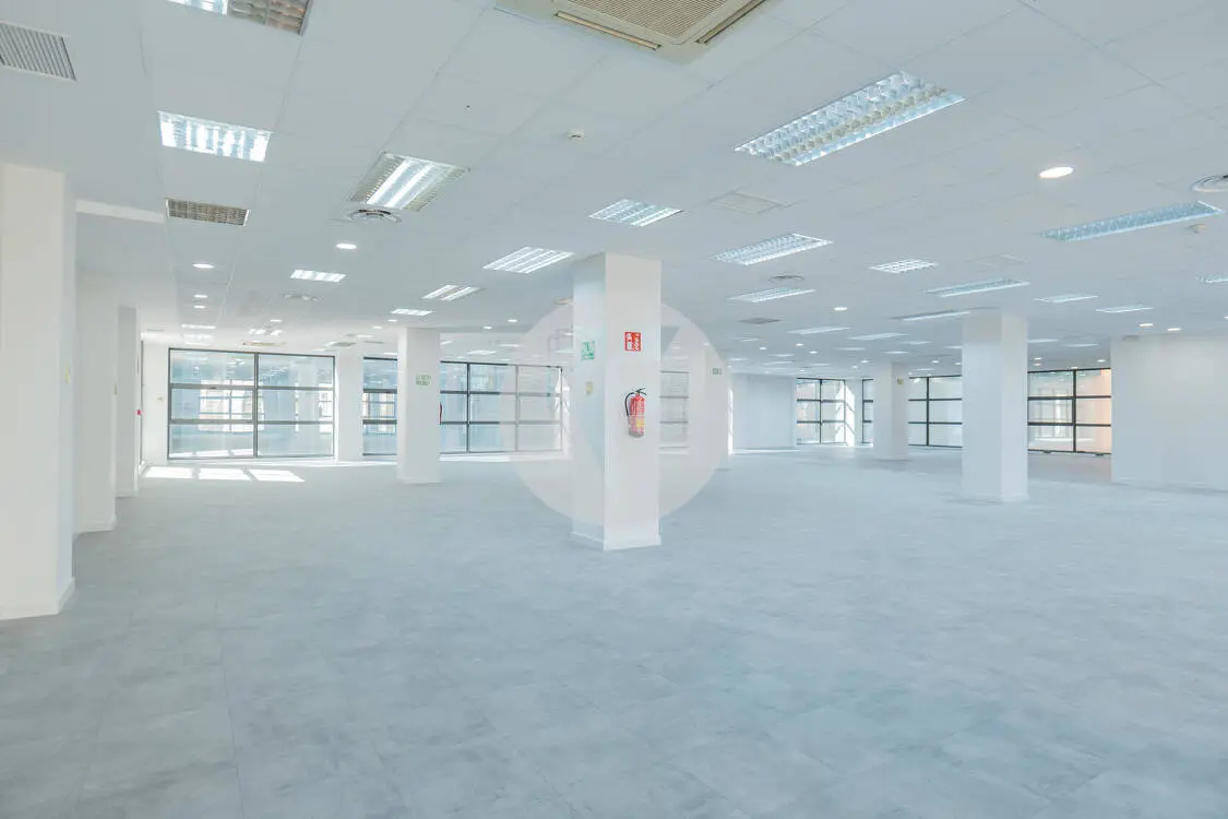 Oficina alquiler Madrid. Av de Manoteras - imagen 6
