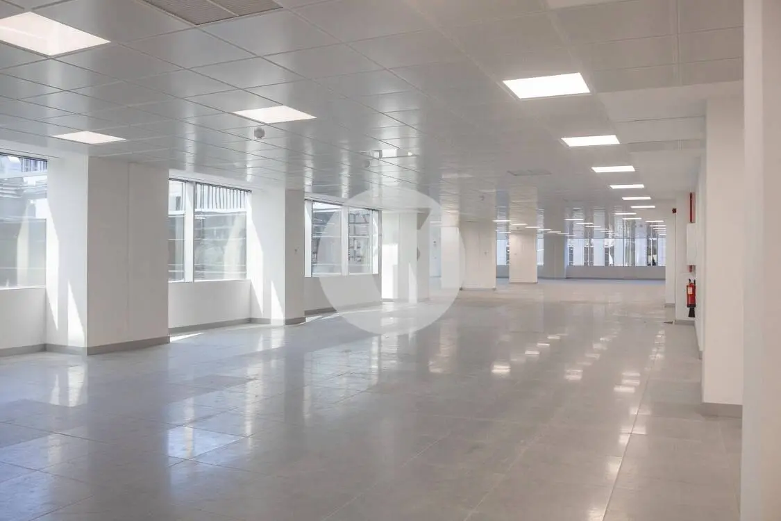 Office for rent on General Perón Avenue. Madrid. 5