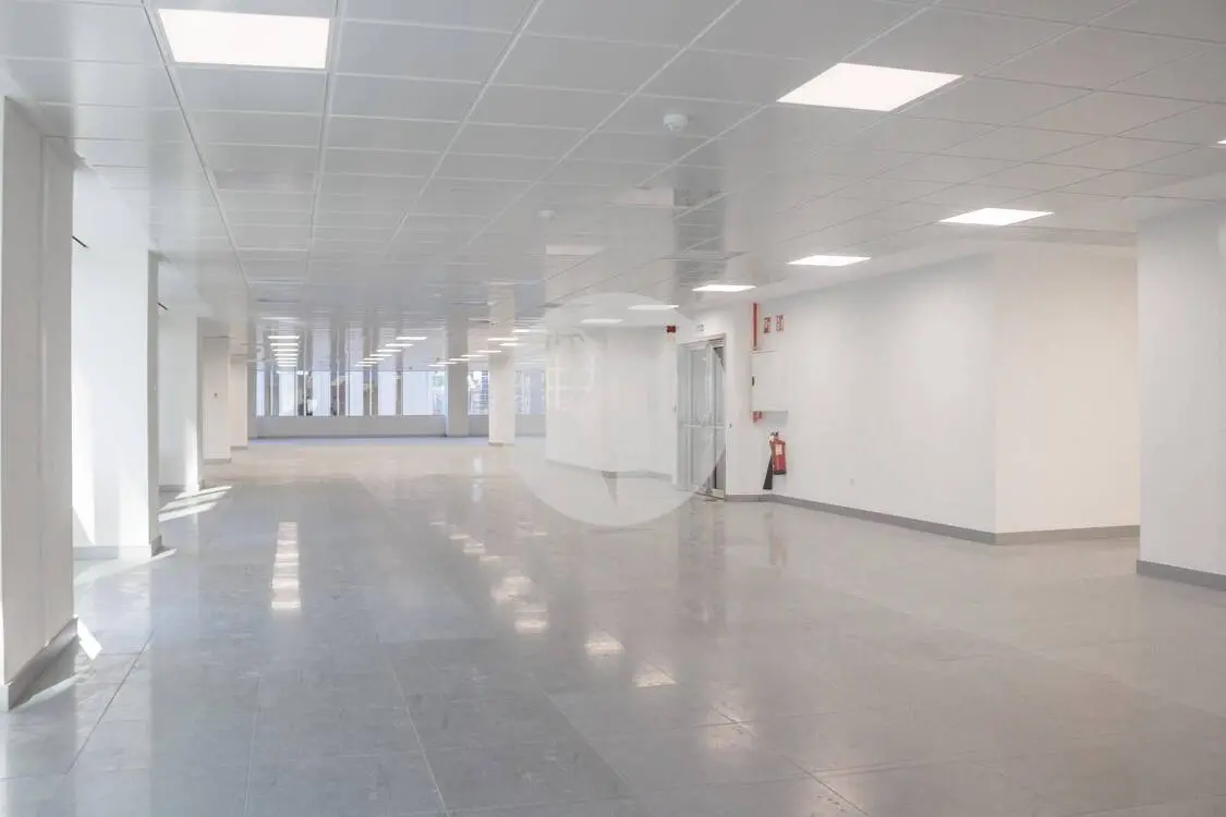 Office for rent on General Perón Avenue. Madrid. 7
