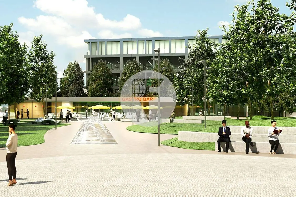 Oficina en alquiler en Pozuelo. Madrid. - imagen 11