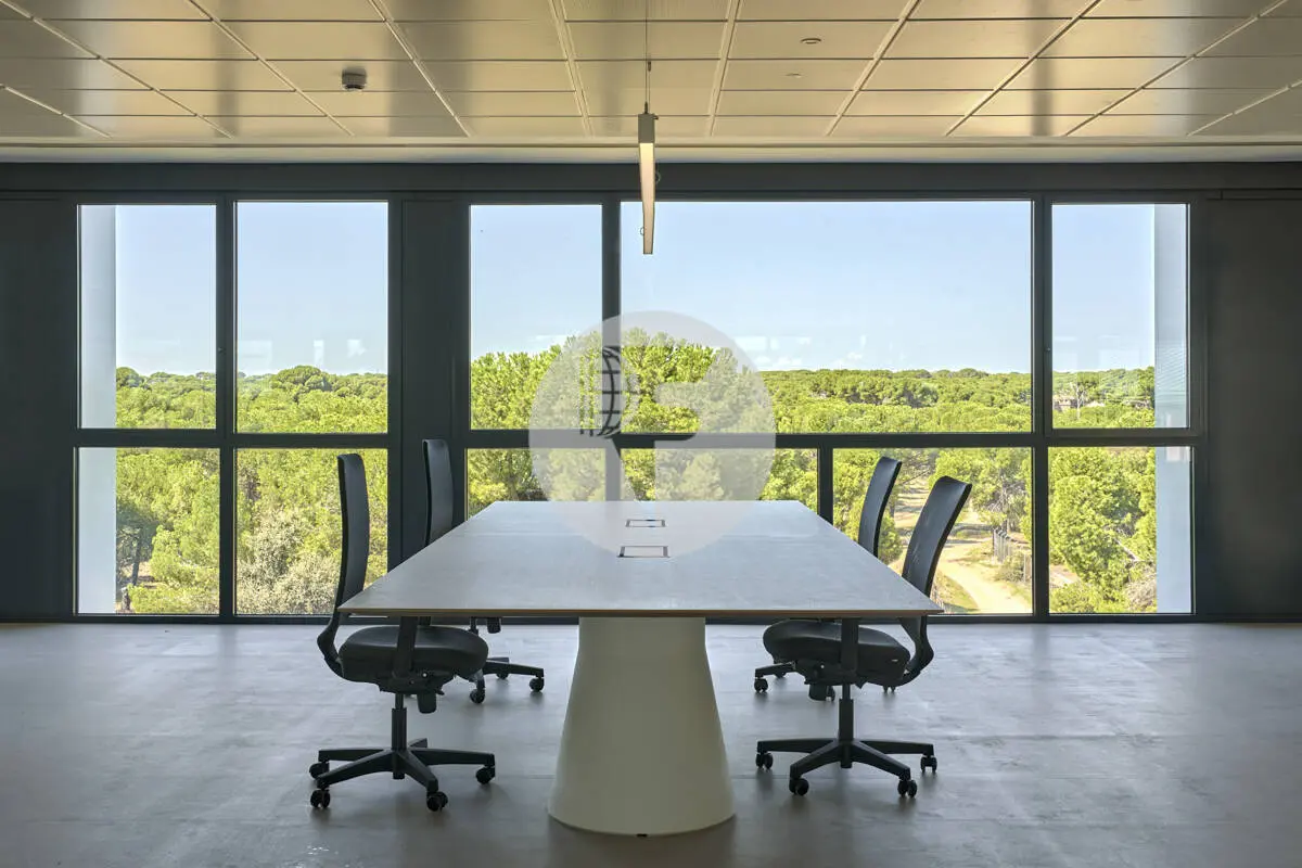Oficina en alquiler en Pozuelo. Madrid. - imagen 8