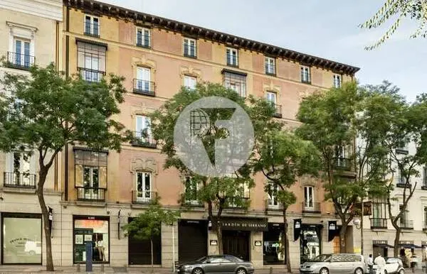 Oficina en alquiler en la calle Goya. Barrio Salamanca. Madrid